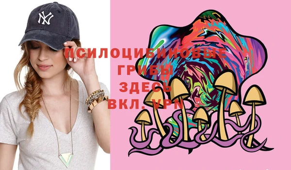 хмурый Белокуриха