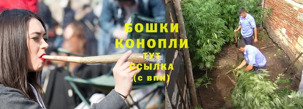 бошки Богданович