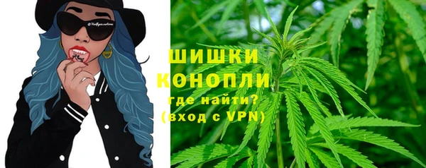 бошки Богданович