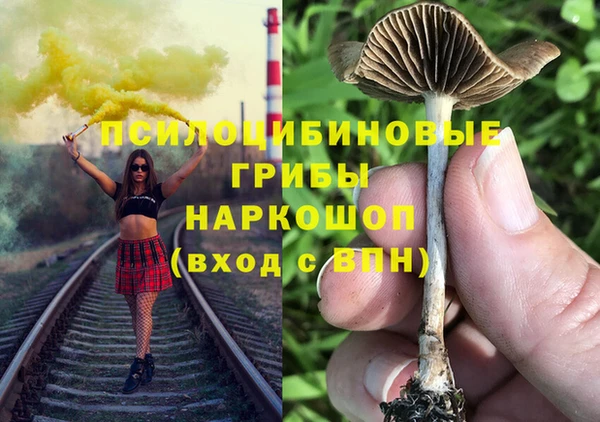 бошки Богданович