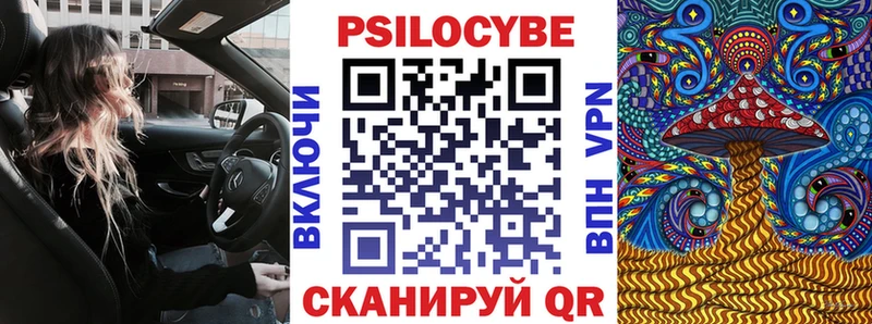 Псилоцибиновые грибы Psilocybine cubensis  KRAKEN зеркало  Бугульма 